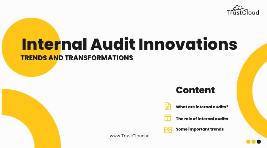 Internal audit innovations
