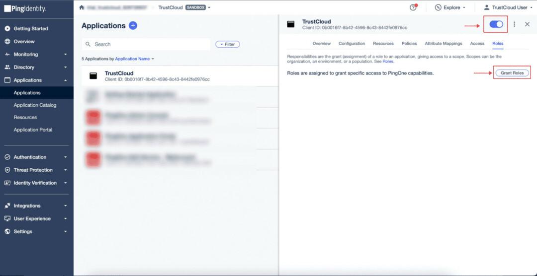 pingidentity 3