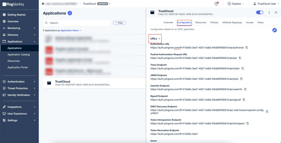 pingidentity 6