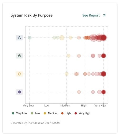 System Risk By Purpose